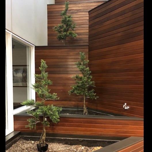 Cedar Tree potted 5' - Artificial Trees/Floor Plants - artificial cedar trees for rent 5 feet